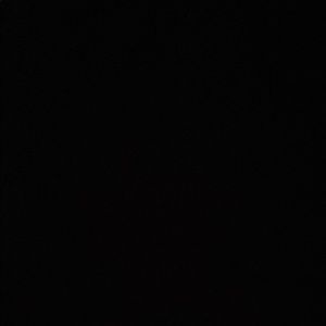 Meet your Posher, Elise